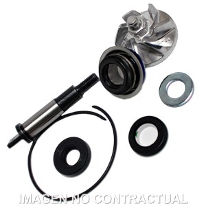 Kit Reparación Bomba De Agua Honda SH300