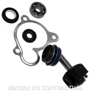Kit Reparación Bomba De Agua Yamaha Majesty 250