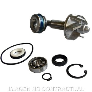 Kit Reparación Bomba De Agua Honda Pantheon