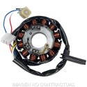 Stator SGR 12 polos con pick-up (Mot Yamaha-Minarelli 50 AM6)