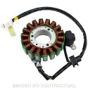 Stator SGR Kymco People S IE