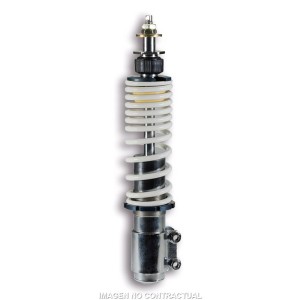 Amortiguador Malossi delantero RS24 Primavera IGET