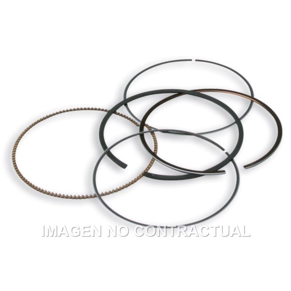 Segmentos D. 75,5 mm