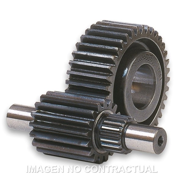 Desarrollo secundario HTQ 15/47 Dientes