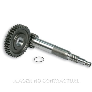 Desarrollo Primario Largo Zip Sp 2000