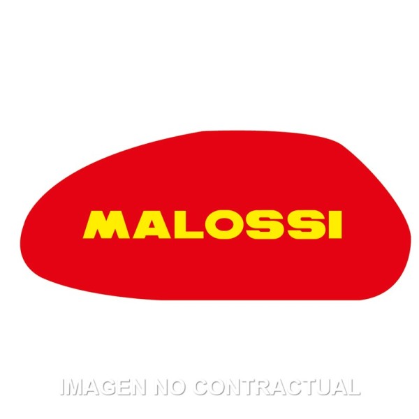 Filtro Aire Malossi Majesty 250, Leonardo 250