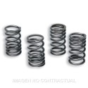 Muelles Embrague Original Motor AM6 TZR 50