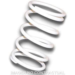 Muelle Polea Conducida Blanco Gilera GP 800