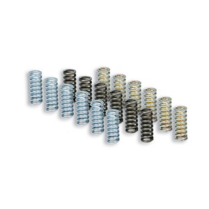 Muelles Embrague Malossi Piaggio Beverly HPE 400