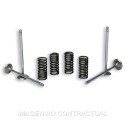 Válvulas 4 Stroke Malossi Con Muelles para culata original