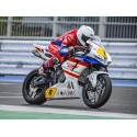 SC Project para HONDA CBR600RR (2024 - 2026) - Escape SC-RR carbono