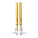 Horquilla Öhlins bmw r ninet gold (2014-2016)