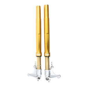 Horquilla Öhlins bmw r ninet gold (2014-2016)