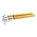 Horquilla Öhlins bmw r ninet gold (2014-2016)