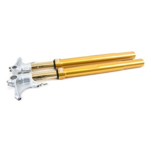Horquilla Öhlins bmw r ninet gold (2014-2016)