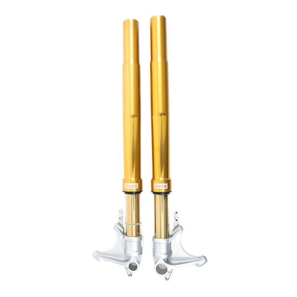 Horquilla Öhlins bmw r ninet gold (2017 en adelante)