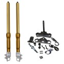 Kit de horquilla delantera Öhlins triumph