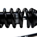 Amortiguador trasero Öhlins s46dr1s r18 - r18 classic blackline (2021-2024)