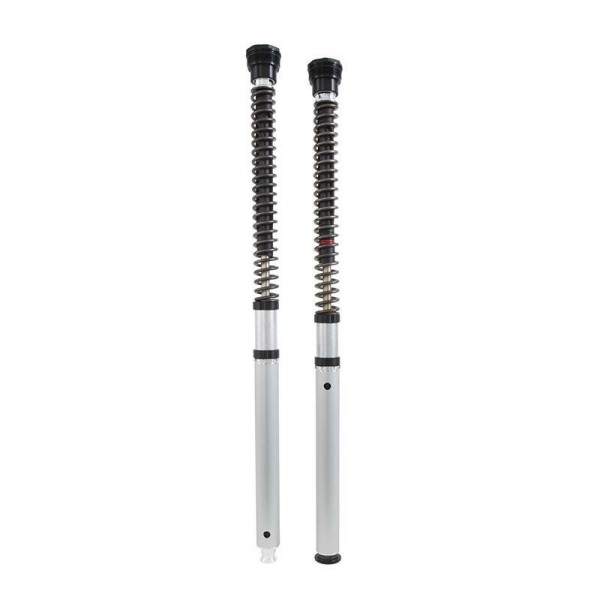 Cartucho de horquilla Öhlins nix 30 street ducati scrambler 1100 (2018-2020)