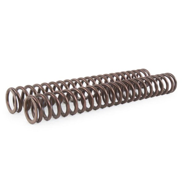 Muelles de horquilla triumph bonneville (2000-2012)