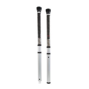 Cartucho Öhlins nix30s bmw r ninet roadster (2017-2020)