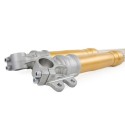 Kit de horquilla delantera Öhlins dorado