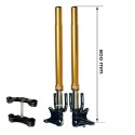 Kit de horquilla Öhlins bmw r18 gold + unidad de placas de garaje con pies radiales