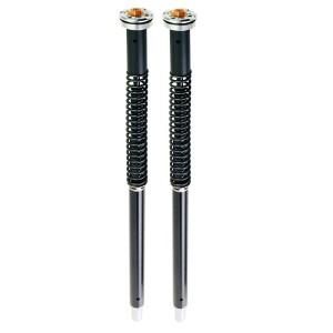 Cartuchos de horquilla para harley davidson xr 1200 (2008)