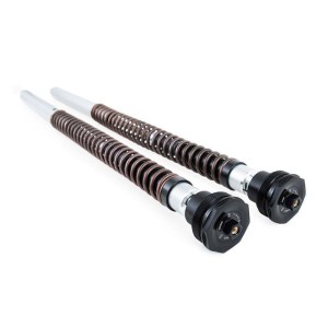 Cartucho Öhlins nix30 ducati desertx (kayaba)