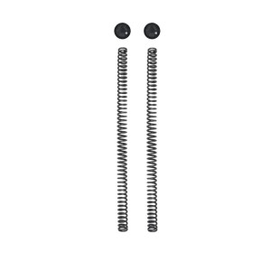 Kit Öhlins de 2 tapas y 2 muelles de horquilla royal enfield himalayan 450 (2024).