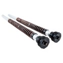 Cartuchos de horquilla Öhlins nix 22mm harley davidson cvo road glide (2017-2022)
