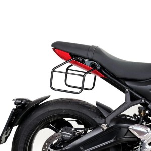 Cuadro derecho triumph trident 660