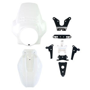 Cúpula fenouil + guardabarros delantero bmw r12 ninet