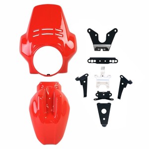 Cúpula fenouil + guardabarros delantero bmw r12 ninet