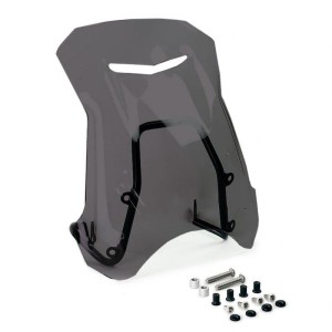 Pantalla bmw r12 ninet con soporte gps