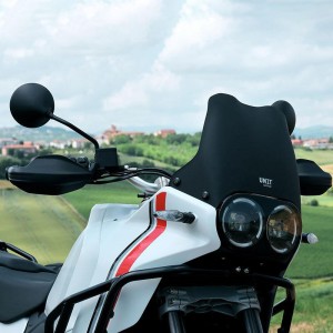 Pantalla edi race ducati desertx