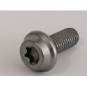 Tornillo  Akrapovic P-FB145