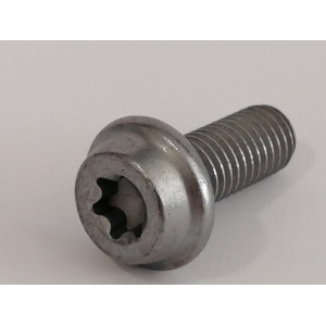 Tornillo  Akrapovic P-FB145