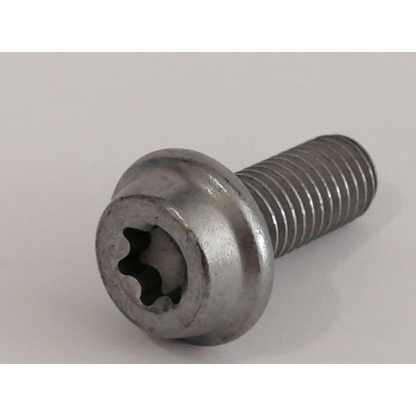 Tornillo  Akrapovic P-FB145