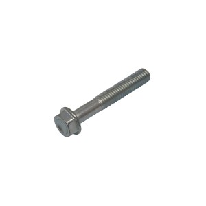 Tornillo  Akrapovic P-FB24