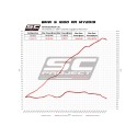 SC Project para BMW S 1000 RR (2019 - 2020) - Euro 4 - Escape CR-T carbono, con malla antipiedras