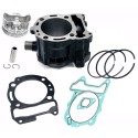 CILINDRO HERT VESPA GTS 300 / MP3 300