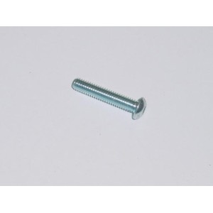 Tornillo de cabeza semiesférica de 30 mm. R-M6X30BHCSZP
