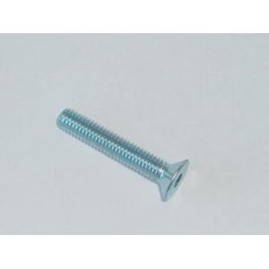 Tornillo de cabeza plana de 30 mm. R-M6X30FHCSZP