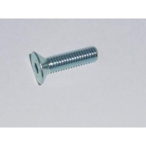 Tornillo de cabeza semiesférica de 25 mm. R-M8X25FHCSZP
