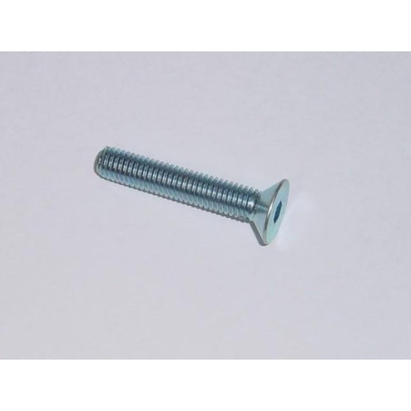 Tornillo de cabeza plana de 40 mm. R-M8X40FHCSZP
