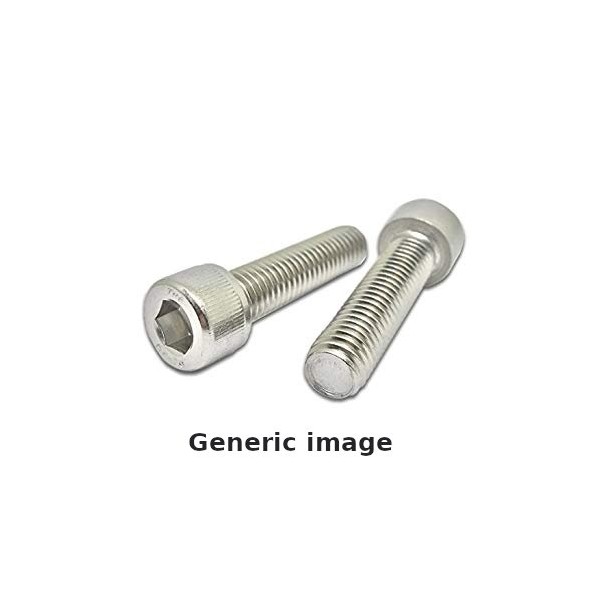 Tornillo Cabeza hueca M6x45. R-M6X45SHCSZP