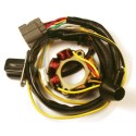 Estátor con bobina de encendido ELECTROSPORT - Suzuki RM-Z250 ESL740