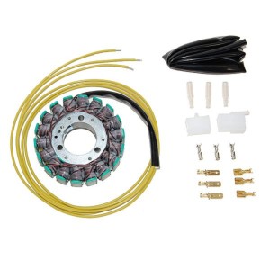Estátor ELECTROSPORT ESG010 270-001