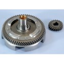 Desarrollo primario POLINI Z:22-63 202.1219